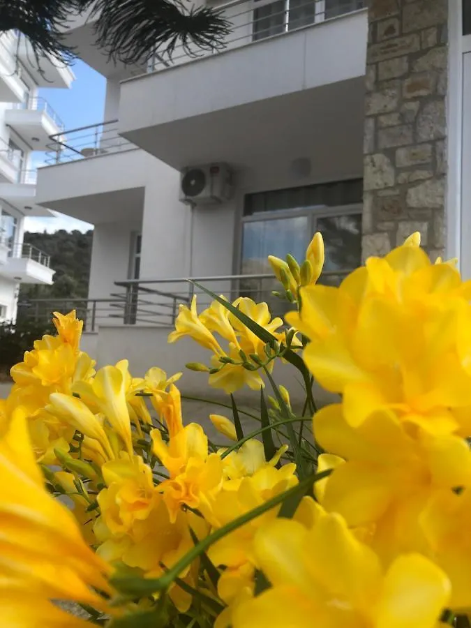 Appartement The Sunny Side à Himarë