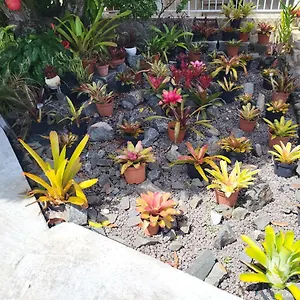  Appartement Rouge Guadeloupe